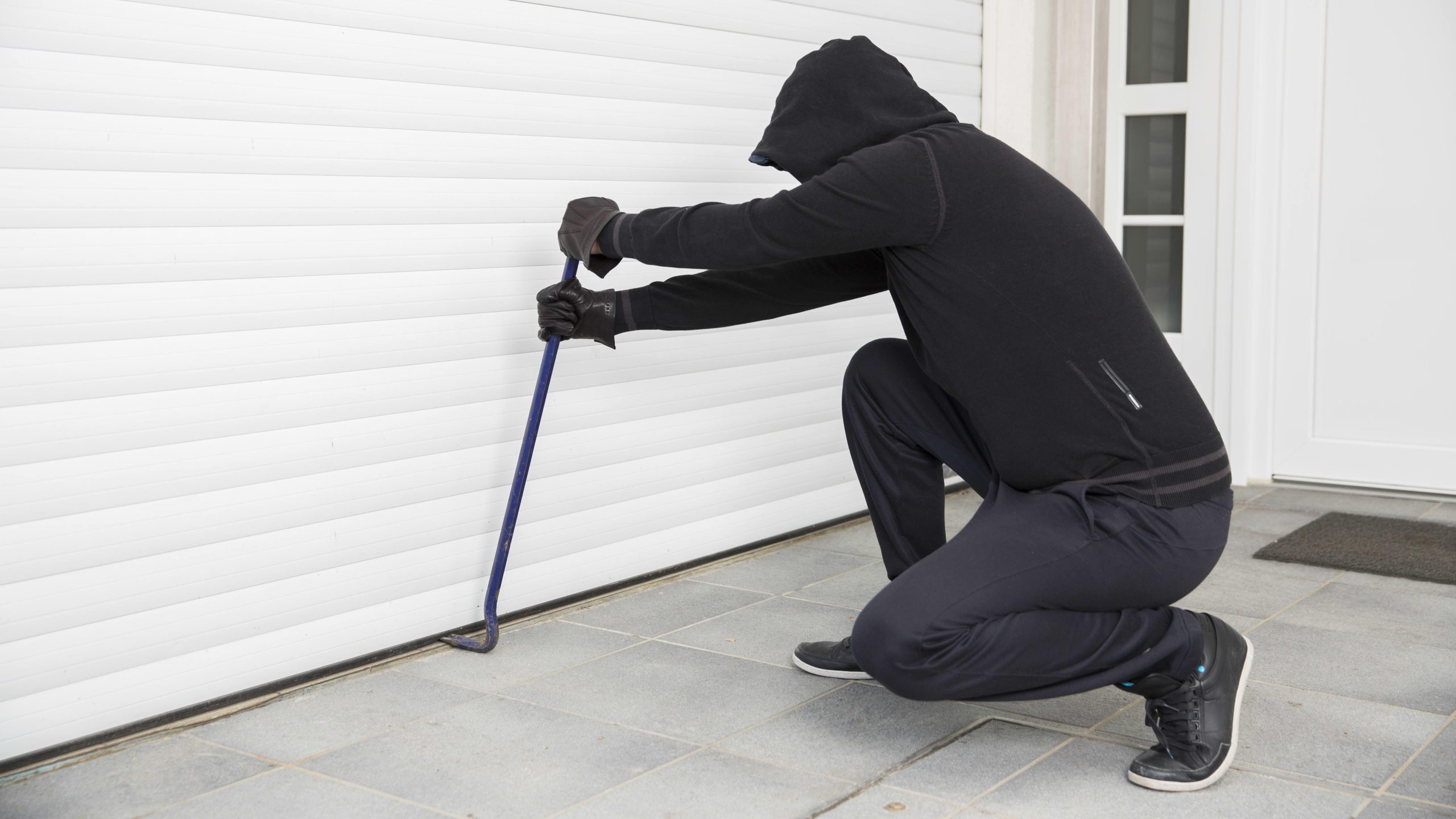 Common home entry points such as back doors, garage doors, and windows where security vulnerabilities occur.